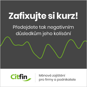 Zajištění měnového rizika